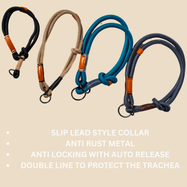 SLIP LEAD COLLAR