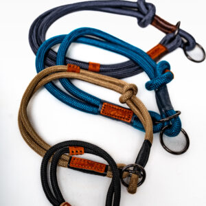 Slip-Lead Collar for dog training and every day use