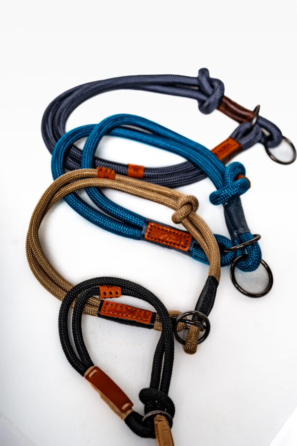 Slip-Lead Collar for dog training and every day use