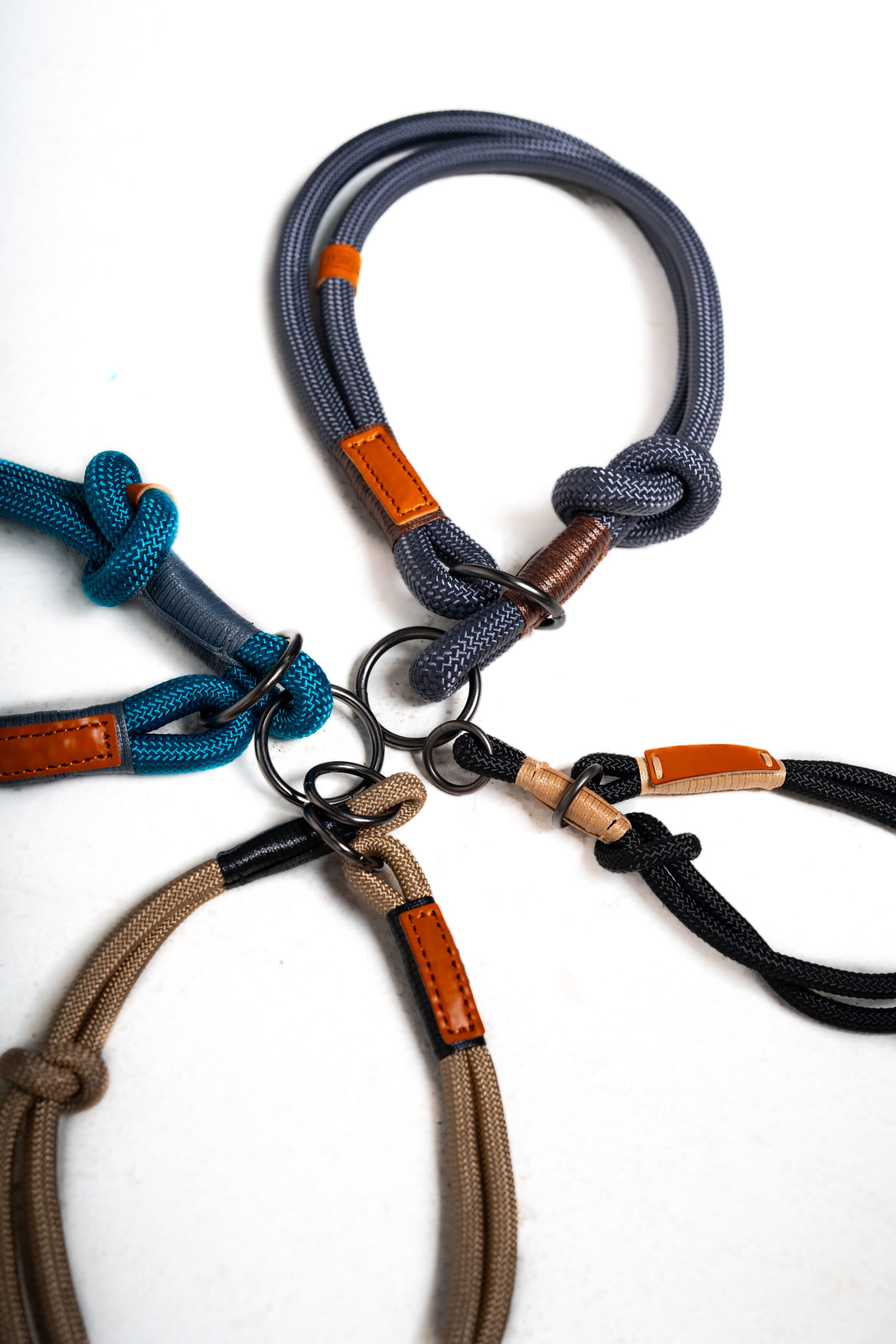 Durable leashes, training, dog, pet.